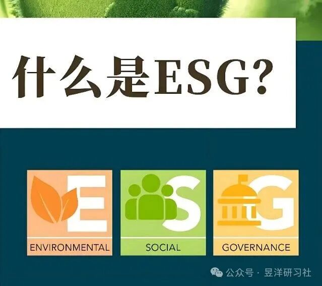 “第二张财报”已上线,读懂它的人正悄悄享受红利